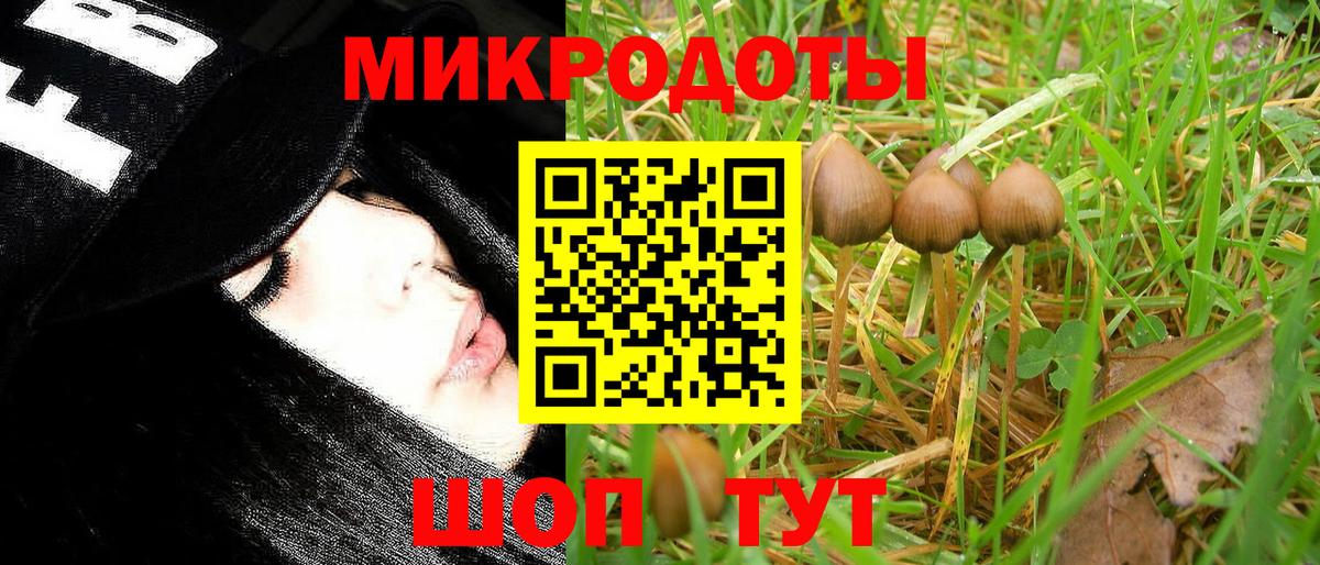 Псилоцибиновые грибы мицелий Тобольск