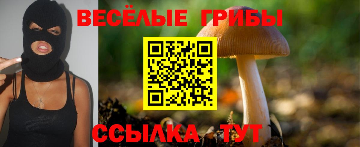 Галлюциногенные грибы Psilocybine cubensis  Галлюциногенные грибы Psilocybe  Вход с VPN  Тобольск 